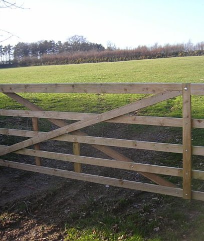 Custom fencing and gates